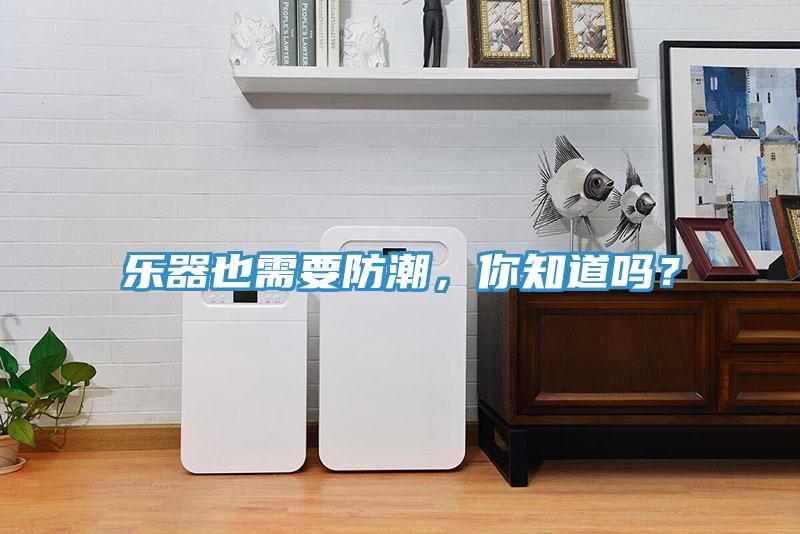 樂(lè)器也需要防潮，你知道嗎？
