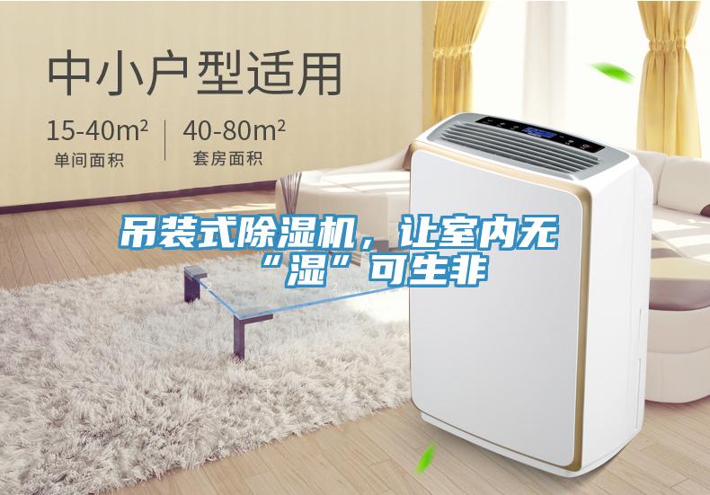 吊裝式除濕機(jī)，讓室內(nèi)無(wú)“濕”可生非