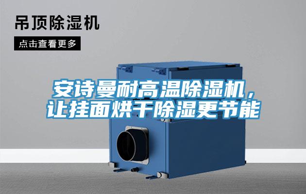 安詩曼耐高溫除濕機，讓掛面烘干除濕更節(jié)能