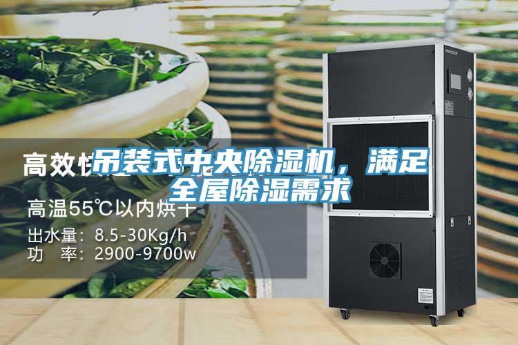吊裝式中央除濕機(jī)，滿足全屋除濕需求