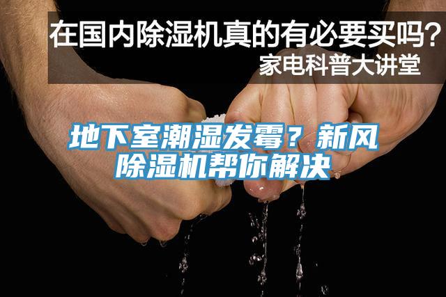 地下室潮濕發(fā)霉？新風(fēng)除濕機(jī)幫你解決