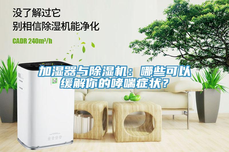 加濕器與除濕機：哪些可以緩解你的哮喘癥狀？