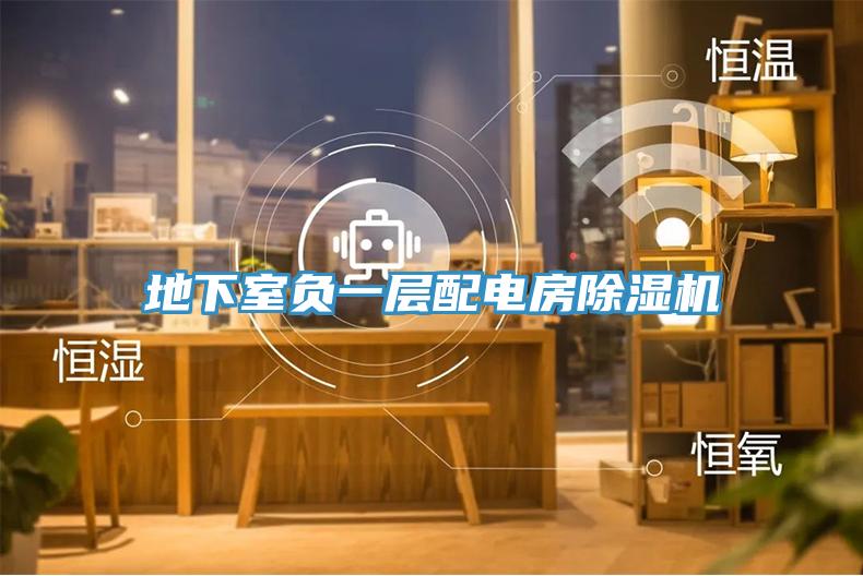 地下室負(fù)一層配電房除濕機
