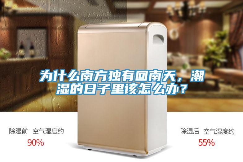 為什么南方獨有回南天，潮濕的日子里該怎么辦？