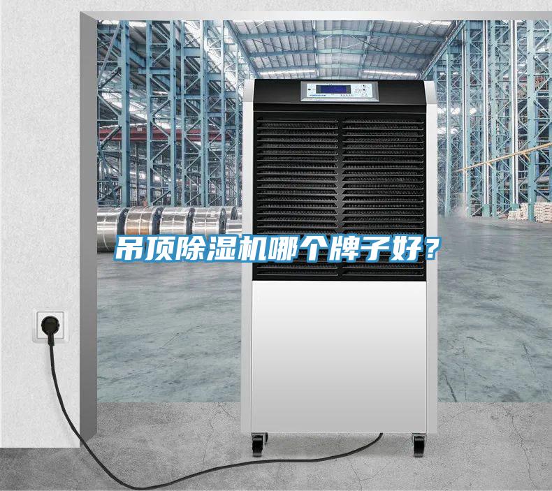吊頂除濕機(jī)哪個(gè)牌子好？