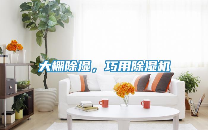 大棚除濕，巧用除濕機(jī)