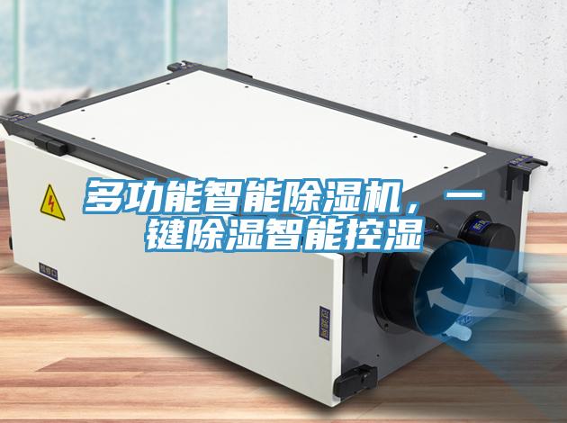 多功能智能除濕機，一鍵除濕智能控濕