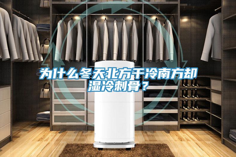 為什么冬天北方干冷南方卻濕冷刺骨？