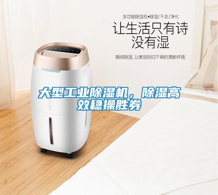 大型工業(yè)除濕機，除濕高效穩(wěn)操勝券