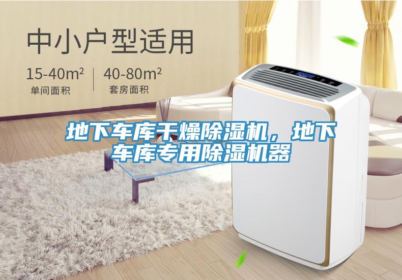 地下車(chē)庫(kù)干燥除濕機(jī)，地下車(chē)庫(kù)專(zhuān)用除濕機(jī)器