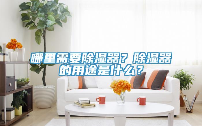 哪里需要除濕器？除濕器的用途是什么？