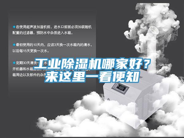 工業(yè)除濕機(jī)哪家好？來(lái)這里一看便知