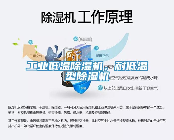 工業(yè)低溫除濕機，耐低溫型除濕機