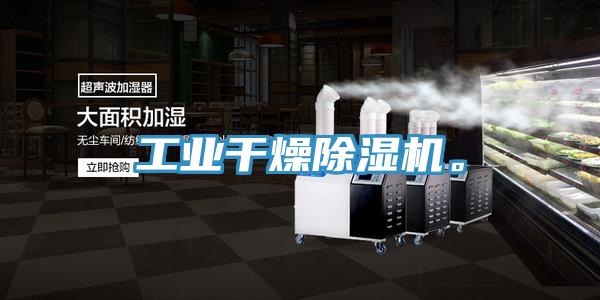 工業(yè)干燥除濕機(jī)。