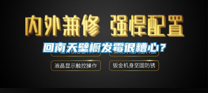 回南天壁櫥發(fā)霉很糟心？