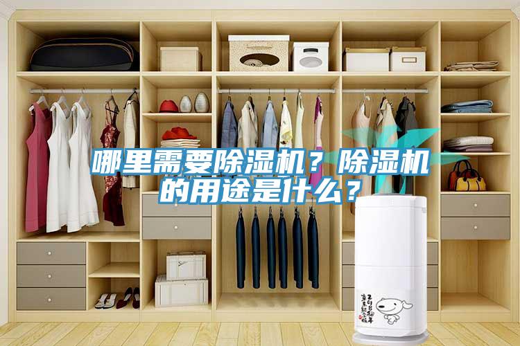 哪里需要除濕機？除濕機的用途是什么？