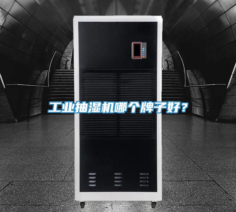 工業(yè)抽濕機哪個牌子好？