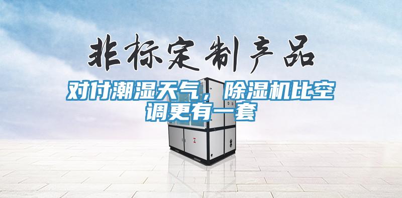 對(duì)付潮濕天氣，除濕機(jī)比空調(diào)更有一套