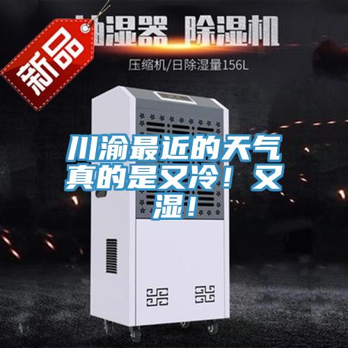 川渝最近的天氣真的是又冷！又濕！
