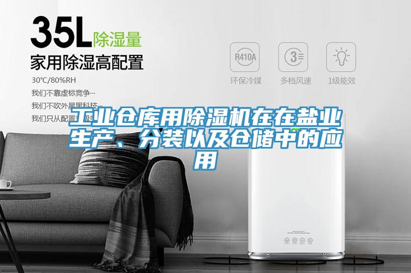 工業(yè)倉庫用除濕機在在鹽業(yè)生產(chǎn)、分裝以及倉儲中的應(yīng)用