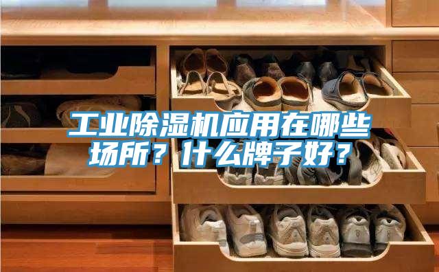 工業(yè)除濕機應(yīng)用在哪些場所？什么牌子好？