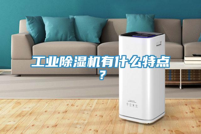 工業(yè)除濕機有什么特點？