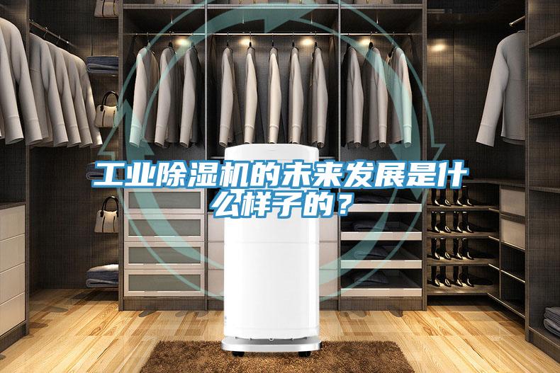 工業(yè)除濕機(jī)的未來發(fā)展是什么樣子的？