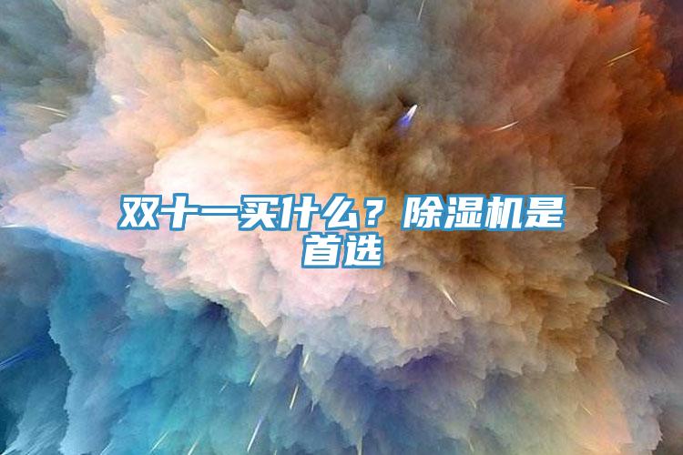 雙十一買什么？除濕機(jī)是首選