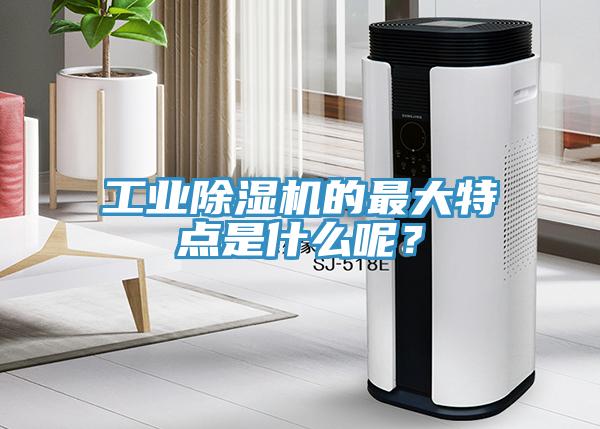 工業(yè)除濕機(jī)的最大特點是什么呢？