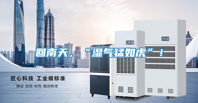 回南天，“濕氣猛如虎”！