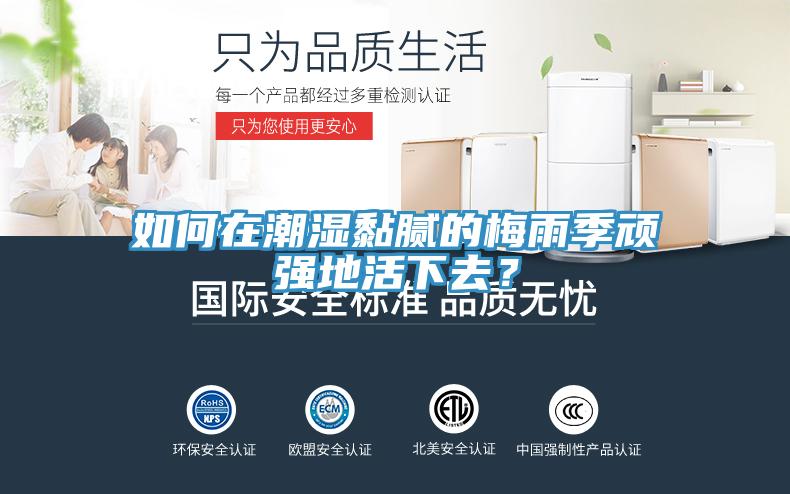 如何在潮濕黏膩的梅雨季頑強地活下去？