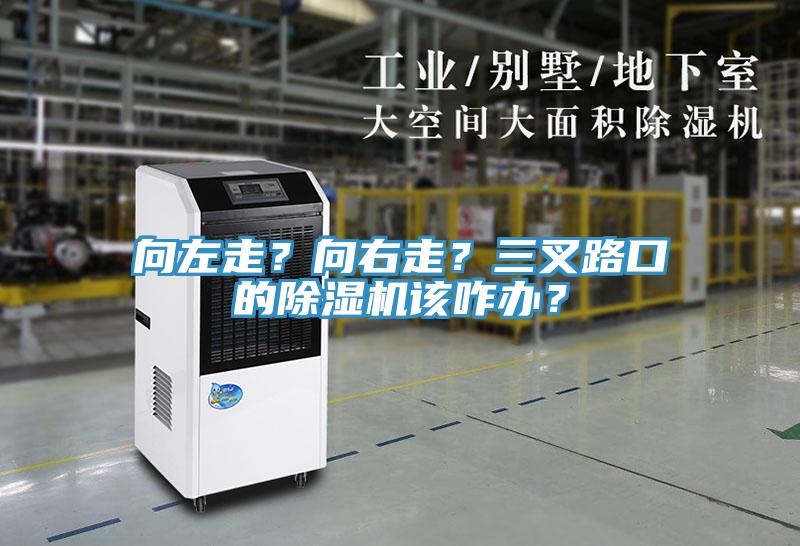 向左走？向右走？三叉路口的除濕機該咋辦？