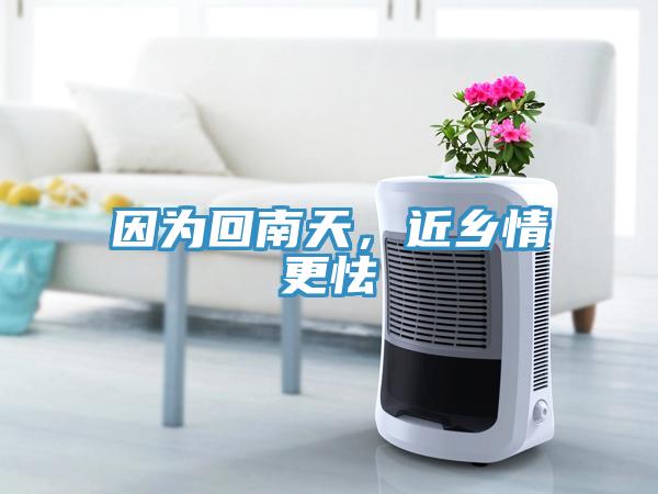 因為回南天，近鄉(xiāng)情更怯