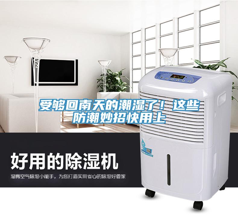 受夠回南天的潮濕了！這些防潮妙招快用上