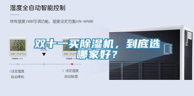 雙十一買除濕機，到底選哪家好？