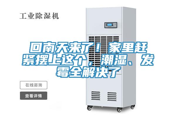 回南天來了！家里趕緊擺上這個，潮濕、發(fā)霉全解決了