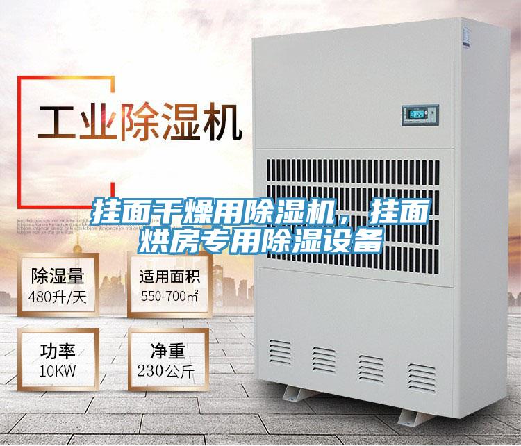 掛面干燥用除濕機(jī)，掛面烘房專用除濕設(shè)備