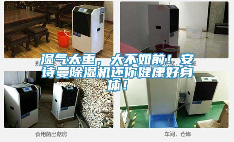 濕氣太重，大不如前！安詩(shī)曼除濕機(jī)還你健康好身體！