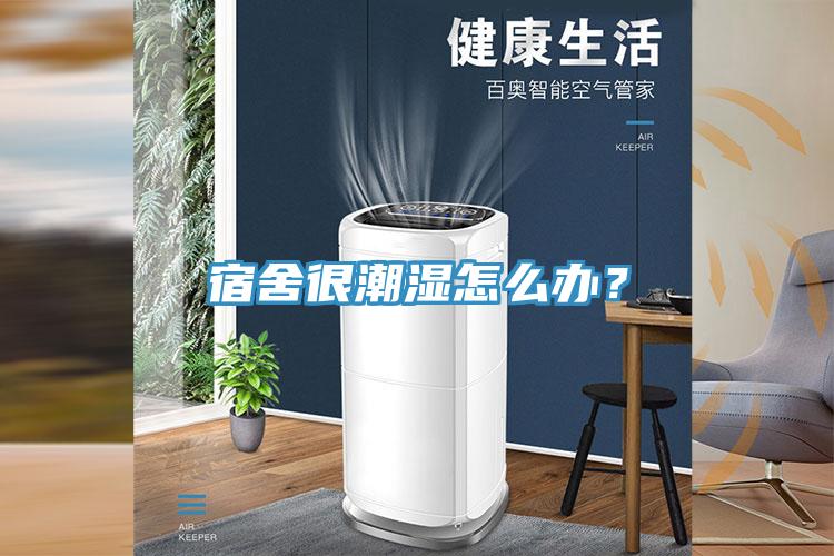 宿舍很潮濕怎么辦？
