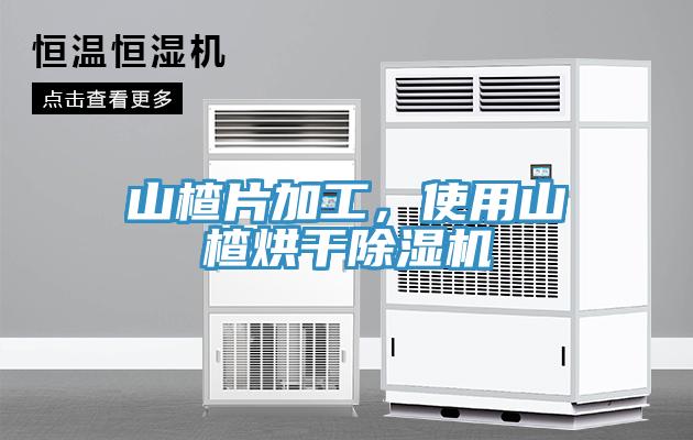 山楂片加工，使用山楂烘干除濕機(jī)