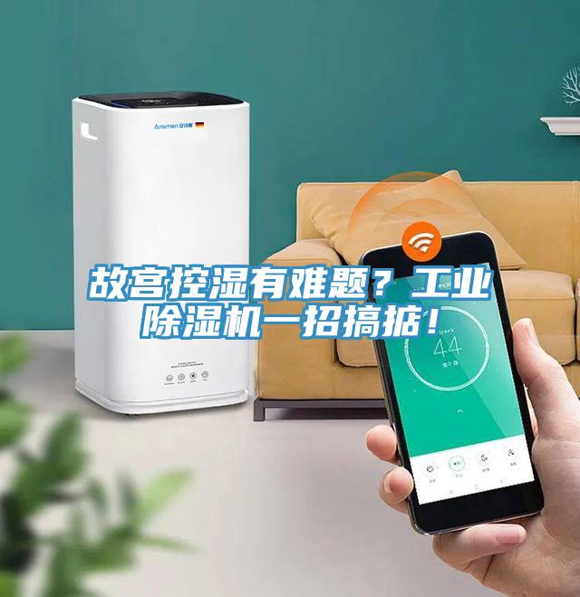 故宮控濕有難題？工業(yè)除濕機(jī)一招搞掂！