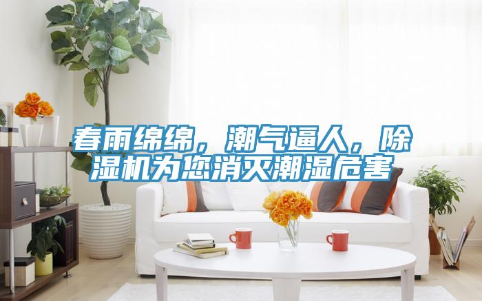 春雨綿綿，潮氣逼人，除濕機為您消滅潮濕危害