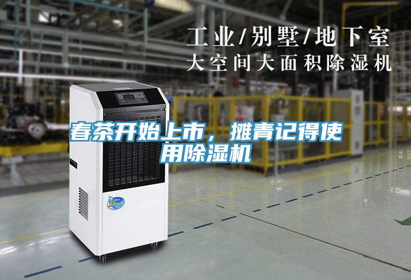 春茶開始上市，攤青記得使用除濕機