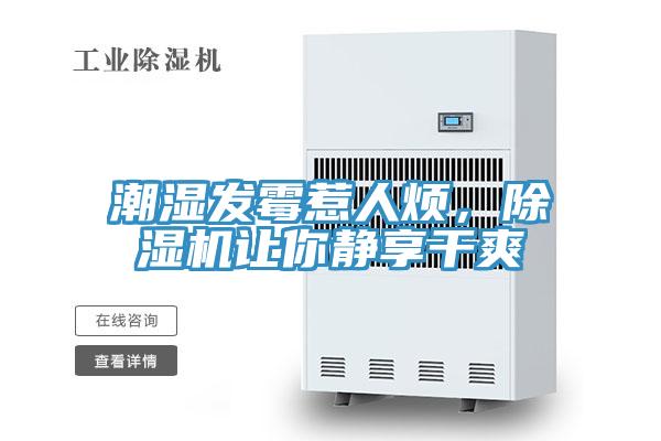 潮濕發(fā)霉惹人煩，除濕機(jī)讓你靜享干爽