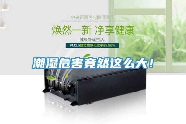潮濕危害竟然這么大！