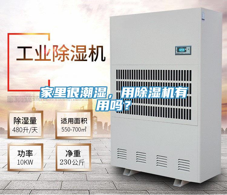 家里很潮濕，用除濕機有用嗎？
