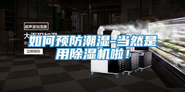 如何預(yù)防潮濕-當(dāng)然是用除濕機啦！