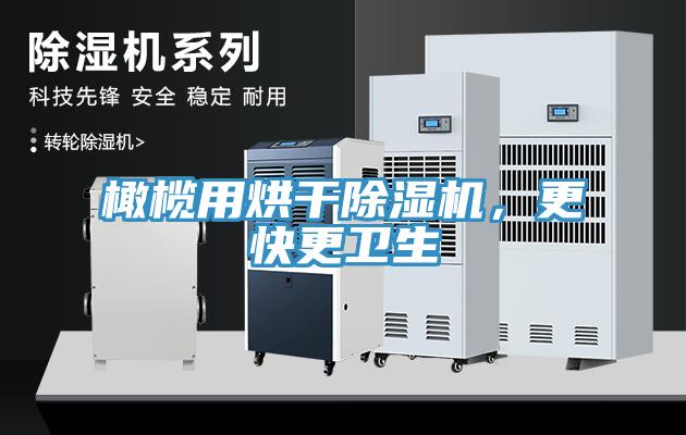 橄欖用烘干除濕機，更快更衛(wèi)生