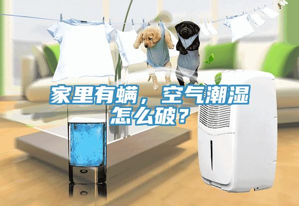 家里有螨，空氣潮濕怎么破？