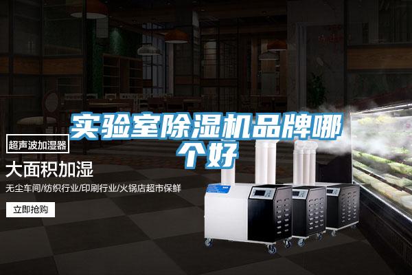 實(shí)驗(yàn)室除濕機(jī)品牌哪個好